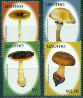 Lesotho - 2007 - Mushrooms - Yv 1876/79 - Funghi
