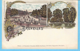 Lithographie-Souvenir De BRUXELLES-multivues-Carte Publicitaire à L'occasion De L'ouverture De L'INNOVATION En 1897 - Viste Panoramiche, Panorama