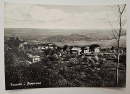 Fosseno - Novara - Panorama Viaggiata 1966 - Novara