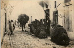 Tunis - Rue Sidi Abd Esseleun - Camel - Tunisia