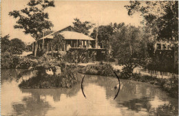 Jardin D Essais De Kisantu - Sonstige & Ohne Zuordnung