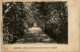 Congo - Banana - Allee De Paletuviers - Other & Unclassified