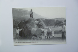 AIX LES BAINS  -  Haute Savoie  -  Attelage De Boeufs     ( 1930 ) -  éditions ATLAS - Wagengespanne