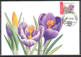 MAX Buzin 2002 Krokus-Crocus Cat.3142 - 2001-2010