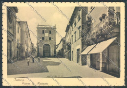 Viterbo Tuscania FG Cartolina ZF8596 - Viterbo