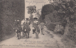 Robinson - Promenade A Ane 1906 - Le Plessis Robinson