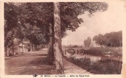 BRIVE La Guuierle Allee Du Tapis Vert 25(scan Recto-verso) MA1905 - Brive La Gaillarde