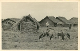 GUINEE CONAKRY  Les Oiseaux De Brousse MARABOUT  Devant Les Cases  36 (scan Recto-verso)MA1901Ter - Guinea Francese