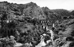 VILLEFORT Le Pont Louis Philippe   8   (scan Recto-verso)MA1901Ter - Villefort