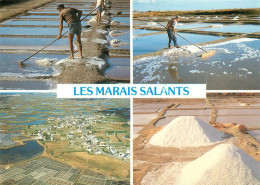 Marais Salants De Guérande  Le Cote D'amour  42  (scan Recto-verso)MA1901Bis - Guérande