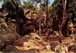 MALESHERBES Les Roches La Grotte Du Bourrelier 1(scan Recto-verso) MA1932 - Malesherbes