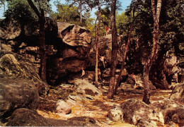 MALESHERBES Les Roches La Grotte Du Bourrelier 2(scan Recto-verso) MA1932 - Malesherbes