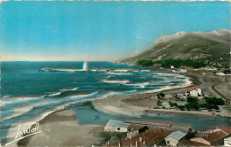  ALGERIE   TENES La Plage  6  (scan Recto-verso)MA1931Ter - Szenen