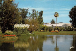 HYERES LES PALMIERS L Etang Du Beau Jardin Olbius Riquier 29(scan Recto-verso) MA1958 - Hyeres