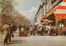 PARIS  Avenue Des Champs Elysées   24   (scan Recto-verso)MA1963Bis - Paris (08)