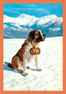 A679 / 661 Chien Valle D'Aosta Chien Du Saint Bernard - Andere & Zonder Classificatie