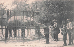 PARIS JARDIN DES PLANTES LE GOUTER DU JEUNE ELEPHANT - Parchi, Giardini