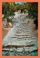 A685 / 359 Israel JERUSALEM Escalier - Andere & Zonder Classificatie