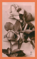 A681 / 569 Fleur Rose - Autres & Non Classés