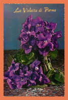 A682 / 649 Fleur Le Violette Di Parma - Autres & Non Classés