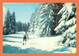 A688 / 165 Ski De RandonnÃ©e Dans Les Forets De Sapins - Sonstige & Ohne Zuordnung