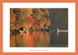 A684 / 431 Japon Nikko National Park Lake Chuzenji - Andere & Zonder Classificatie