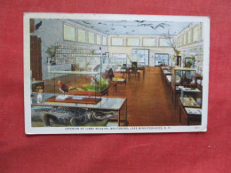 Interior Libby Museum Wolfeboro Collection Lake Winnipesaukee NH        Ref 6385 - Other & Unclassified