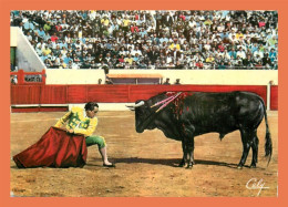 A713 / 123 Corrida Un Adorno D'APARICIO - Corrida