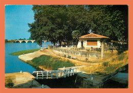 A713 / 365 82 - MOISSAC Pont Napoléon Et Uvarium - Moissac