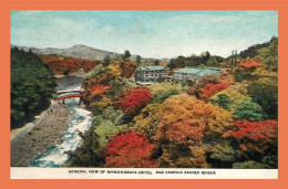 A718 / 311 Japon General View Of Nikko Kanay AHotel - Otros & Sin Clasificación