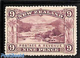 New Zealand 1898 9p, Stamp Out Of Set, Unused (hinged) - Nuevos