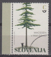 ESLOVENIA 2024 - EL PINO ALERCE EN EL VALLE DE MALA PISNICA - MUESTRA-SPECIMEN A FACIAL - 1 SELLO - Slovenia