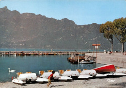 73 Aix-les-Bains Les Pédalos Au Petit Port  (scan R/V)  14 \PC1202 - Aix Les Bains