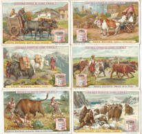 Chromo Liebig Série Compl. De 6 Chromos S_0503 Races Bovines 1897 - Liebig