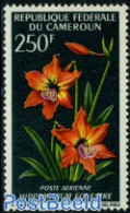 Cameroon 1967 250F, Stamp Out Of Set, Mint NH, Nature - Flowers & Plants - Camerun (1960-...)