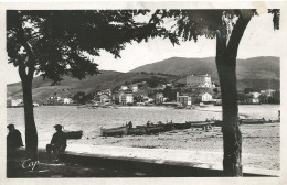 66)    BANYULS  Sur  MER  -  La Plage Et Les Villas - Banyuls Sur Mer