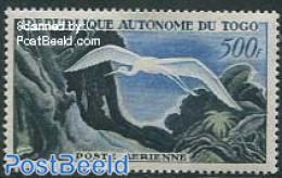 Togo 1957 500F, Stamp Out Of Set, Mint NH, Nature - Birds - Togo (1960-...)