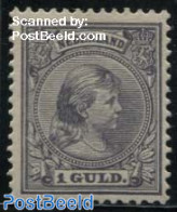 Netherlands 1891 1gld, Stamp Out Of Set, Unused (hinged) - Ungebraucht