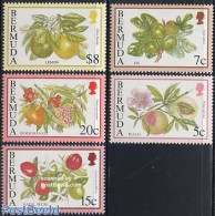 Bermuda 1994 Fruits 5v (without Year), Mint NH, Nature - Fruit - Obst & Früchte
