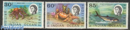 British Indian Ocean 1970 Definitives, Marine Life 3v, Mint NH, Nature - Fish - Shells & Crustaceans - Crabs And Lobst.. - Fische