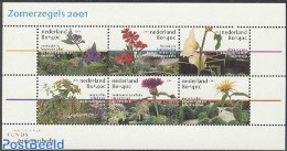 Netherlands 2001 Summer Gardens 6v M/s, Mint NH, Nature - Flowers & Plants - Gardens - Ongebruikt