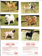 CG30 -  SERIE COMPLETE 36 CARTES GOLDEN FLEECE - DOGS - CHIENS - Other & Unclassified