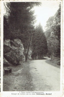 CPSM  Groupe De Rochers Sur La Route ECHTERNACH-BERDORF - Echternach