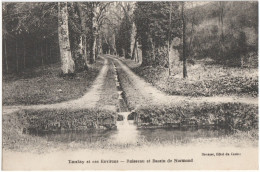 CPA DES ENVIRONS DE TANLAY  (YONNE)  RUISSEAU ET BASSIN DE NARMOND - Tanlay