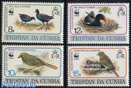 Tristan Da Cunha 1991 WWF, Birds 4v, Mint NH, Nature - Birds - World Wildlife Fund (WWF) - Tristan Da Cunha
