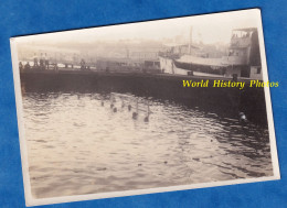 Photo Ancienne Snapshot - Port à Situer , Casablanca ? - Match De Water Polo ? - Bateau - Maroc ? - Deportes