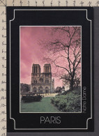 117359GF/ W. LECHTHALER, *Paris, Notre-Dame*, Ed. Michel+Co  - Other & Unclassified