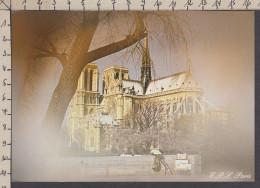 117364GF/ Frédéric MAURY, *Paris, Notre-Dame*, Ed Michel+Co.,  - Sonstige & Ohne Zuordnung