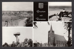 109140/ RENESSE, Groeten Uit - Renesse