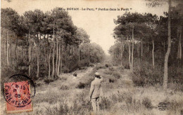 Royan Le Parc Perdu Dans La Foret - Royan